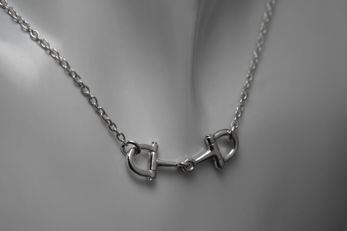 NE1269｜ネックレス